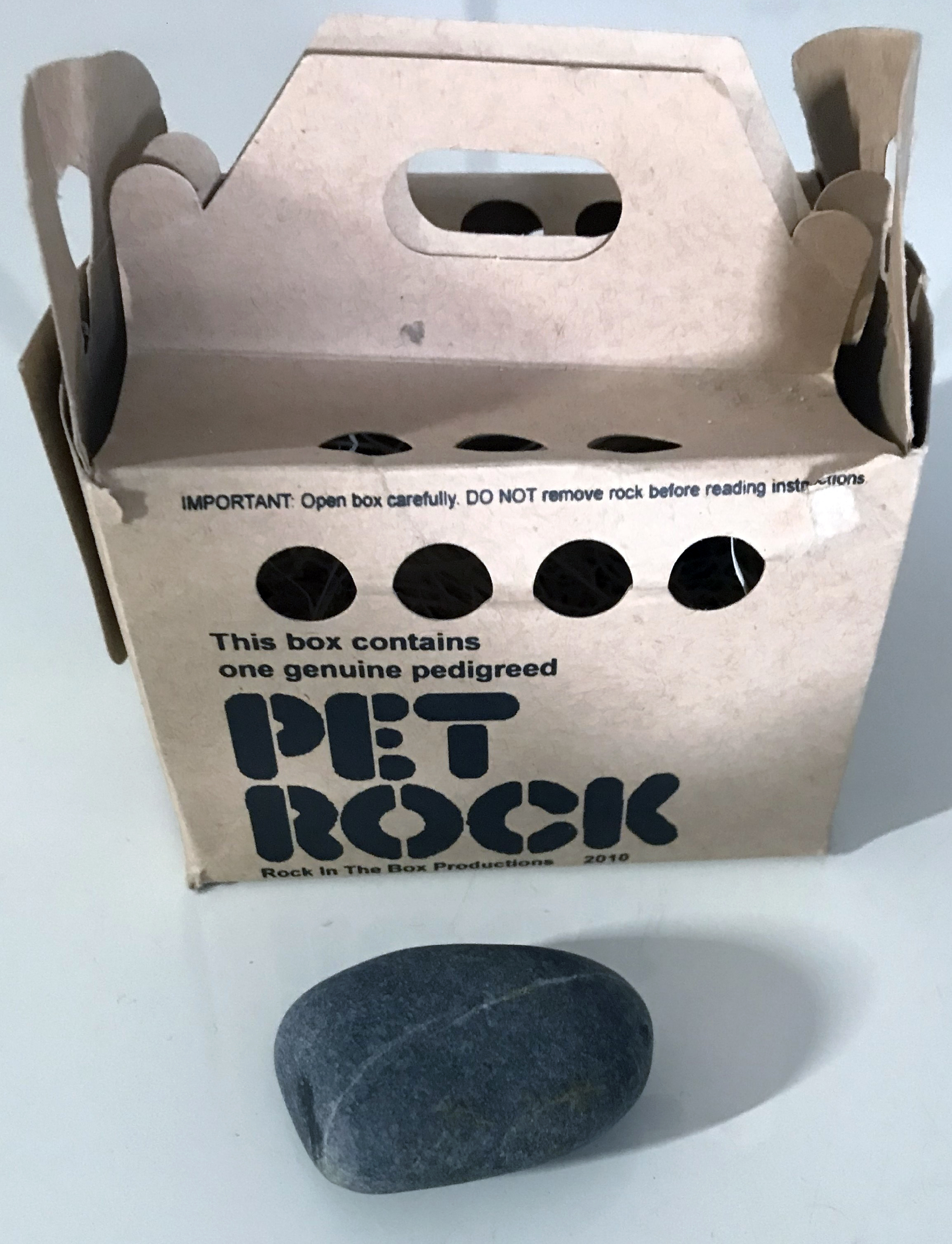 Bullwinkle My Pet Rock